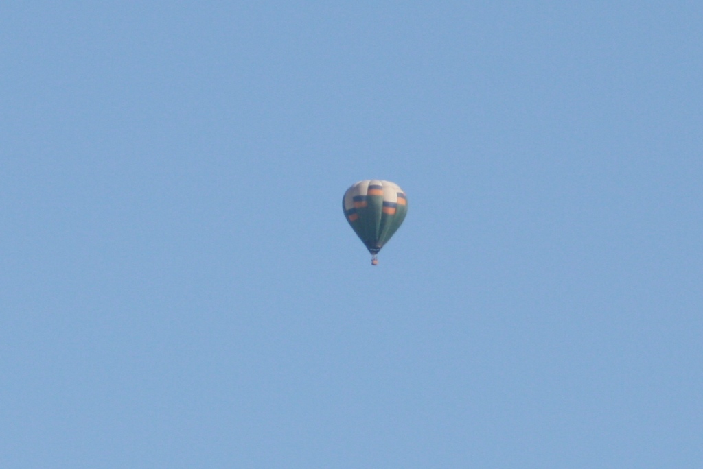 e0127743_1529505.jpg