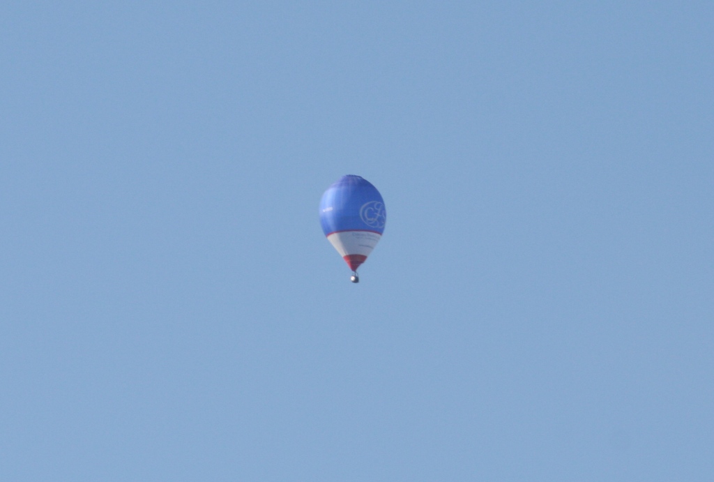 e0127743_1530138.jpg