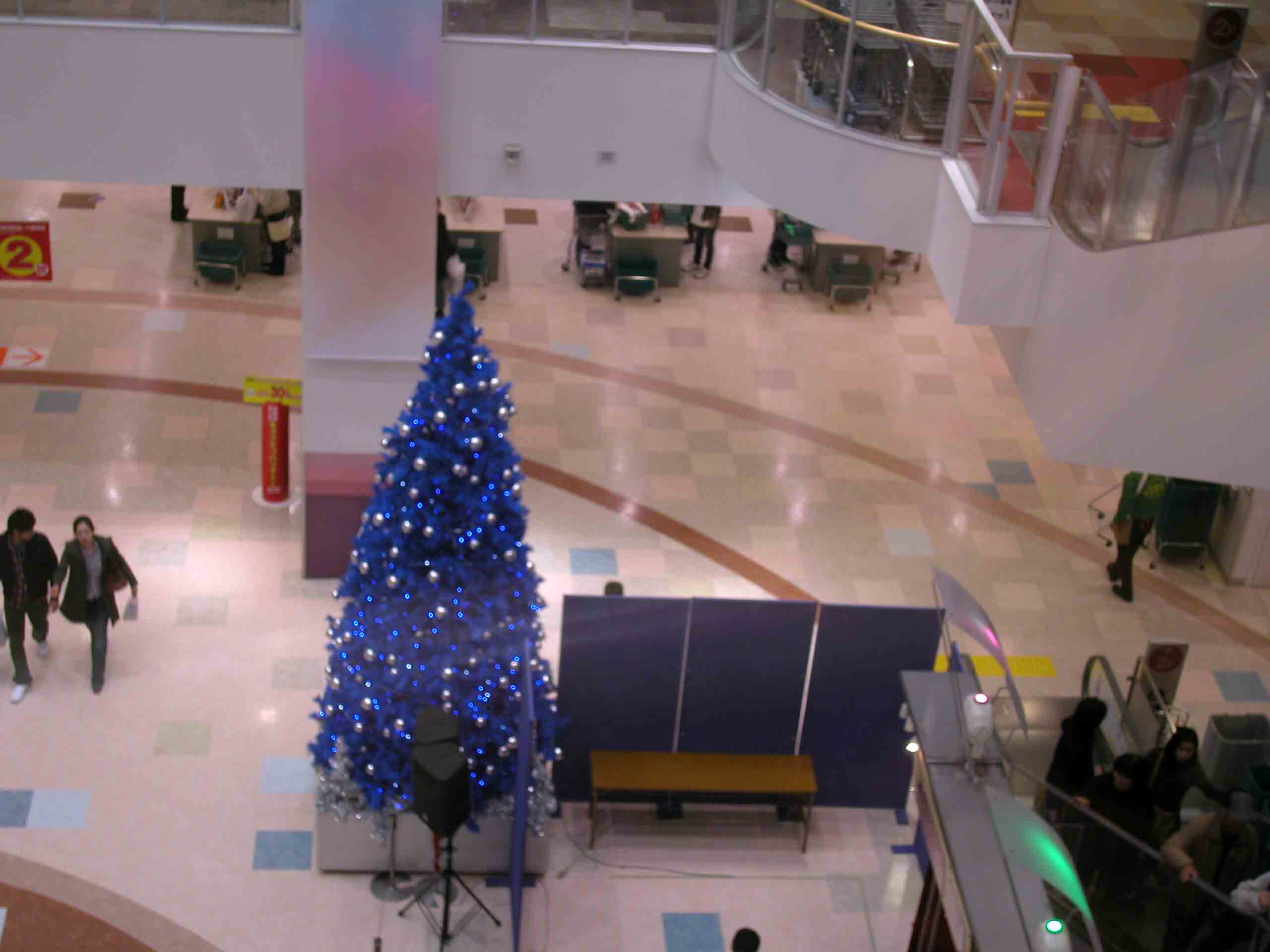 a0063846_235047.jpg