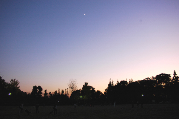 a0082146_220410.jpg