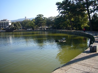 e0100046_1721850.jpg