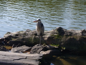 e0100046_17264677.jpg