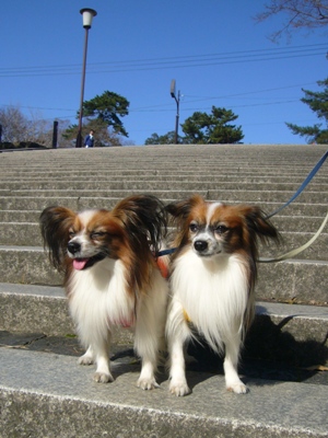 e0100046_18191350.jpg