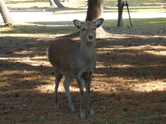 e0100046_1845196.jpg