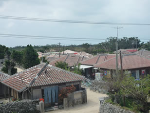 a0077247_205524.jpg
