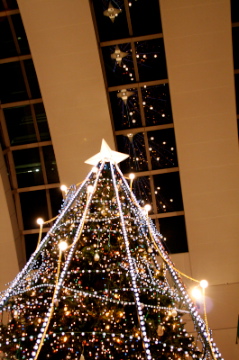 f0179947_20383766.jpg