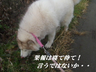e0121548_20134092.jpg