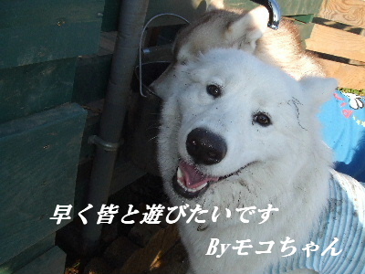 e0121548_2050154.jpg