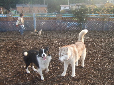 e0121548_21182150.jpg