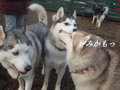 e0121548_21313558.jpg