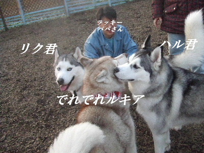 e0121548_2131892.jpg