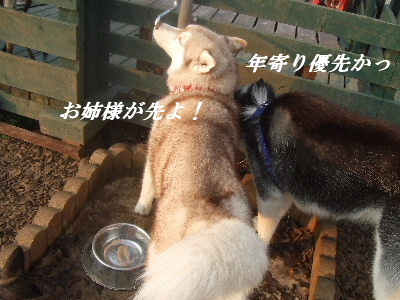 e0121548_21363876.jpg