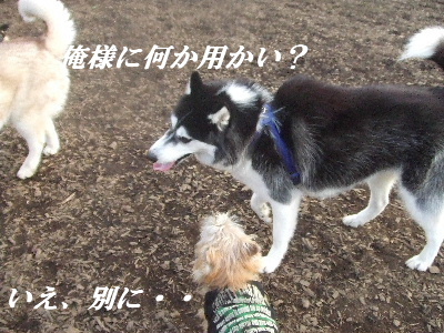 e0121548_2137325.jpg