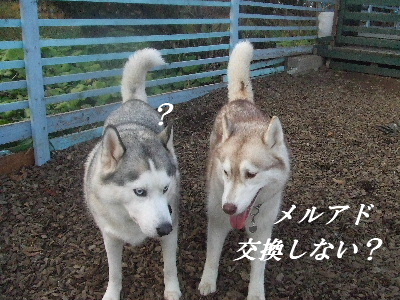 e0121548_21381871.jpg