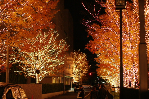 a0024250_22171776.jpg