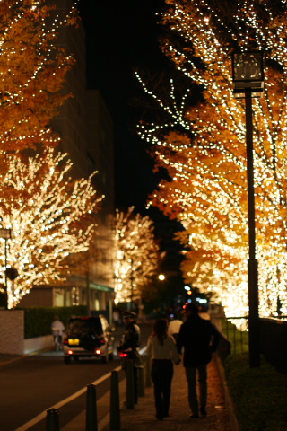 a0024250_22201516.jpg
