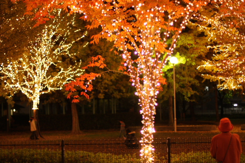 a0024250_2221596.jpg