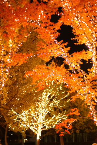 a0024250_22231865.jpg