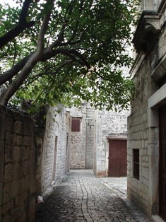 e0018350_14763.jpg