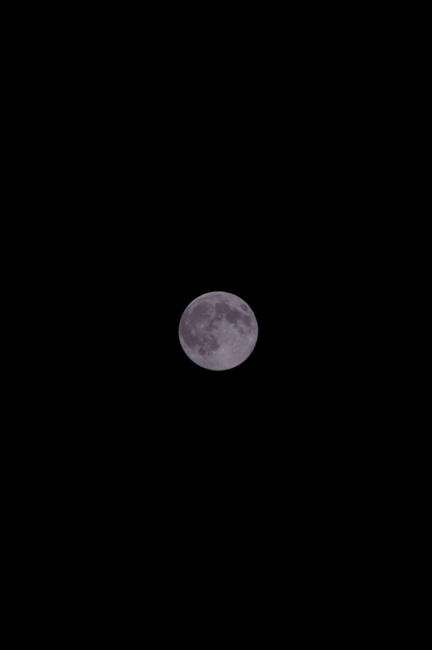 f0176353_21181267.jpg