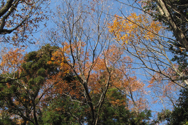 f0007956_184297.jpg