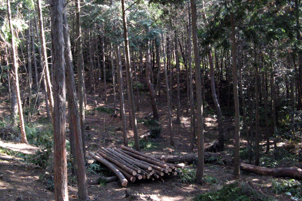 f0007956_1843647.jpg
