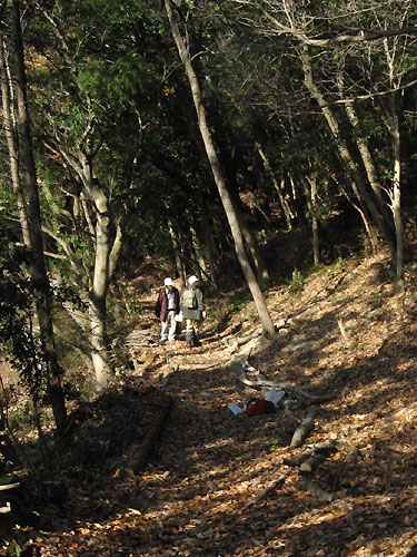 f0007956_1845158.jpg
