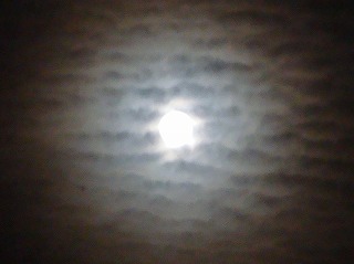 c0185058_1657966.jpg