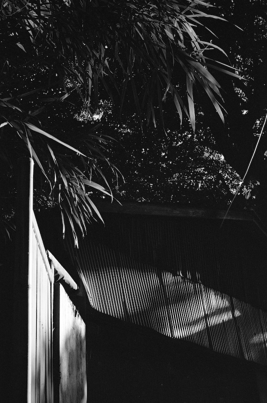 c0084666_1122179.jpg