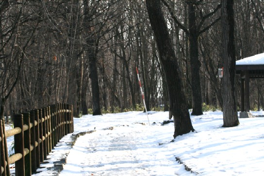 f0000866_4252421.jpg