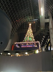 e0041168_10493213.jpg