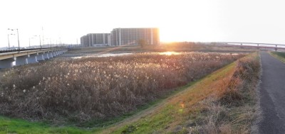 c0112172_23514182.jpg