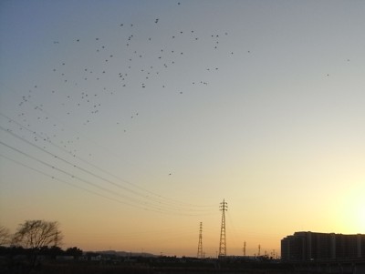 c0112172_23522859.jpg