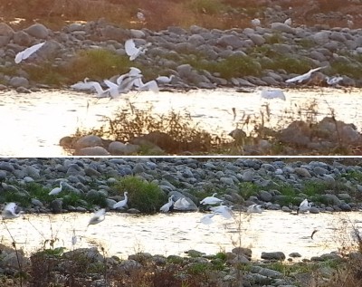 c0112172_2353065.jpg