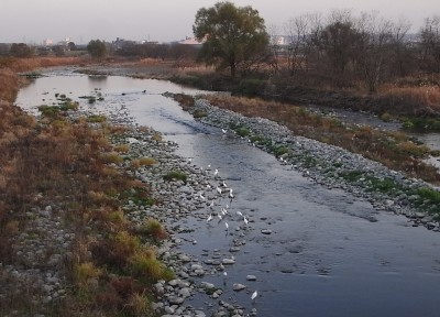 c0112172_23532951.jpg