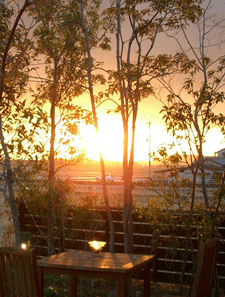 c0167576_6495572.gif