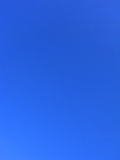 f0089079_312244.jpg