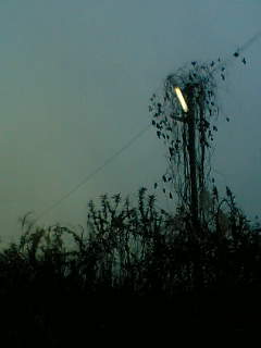 f0100480_19364122.jpg