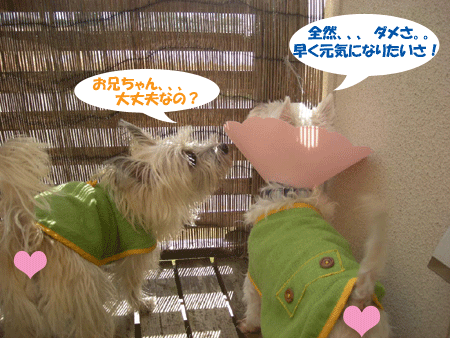 e0066883_21525360.gif