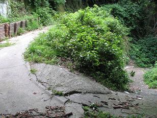 e0130185_15445715.jpg