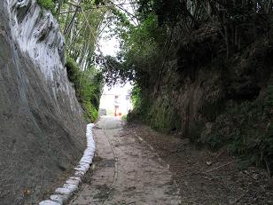 e0130185_1552598.jpg