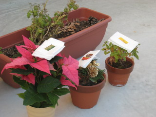 c0118387_22215045.jpg