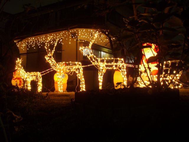 f0130894_20404580.jpg