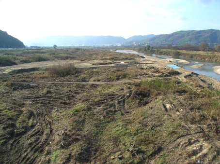 e0083097_21583293.jpg