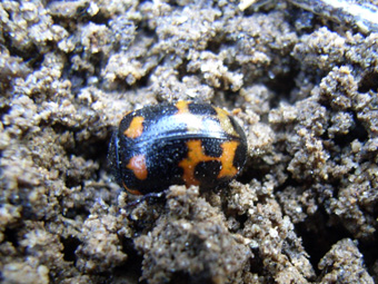e0083097_2294098.jpg