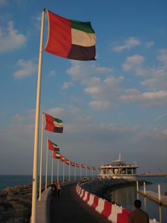 b0142203_19553220.jpg