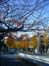 c0148705_1592180.jpg