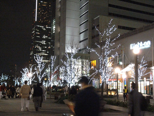 a0068306_1531845.jpg