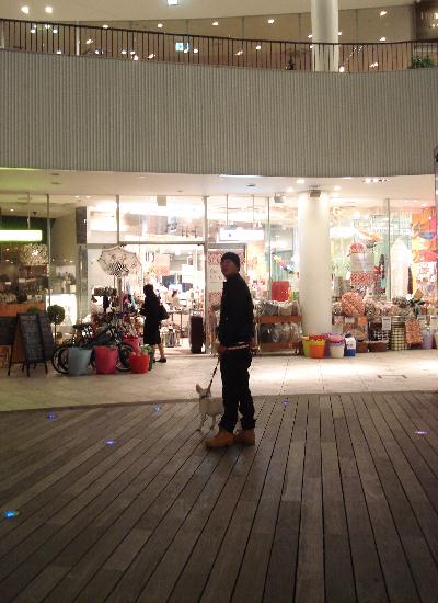 f0084806_732869.jpg