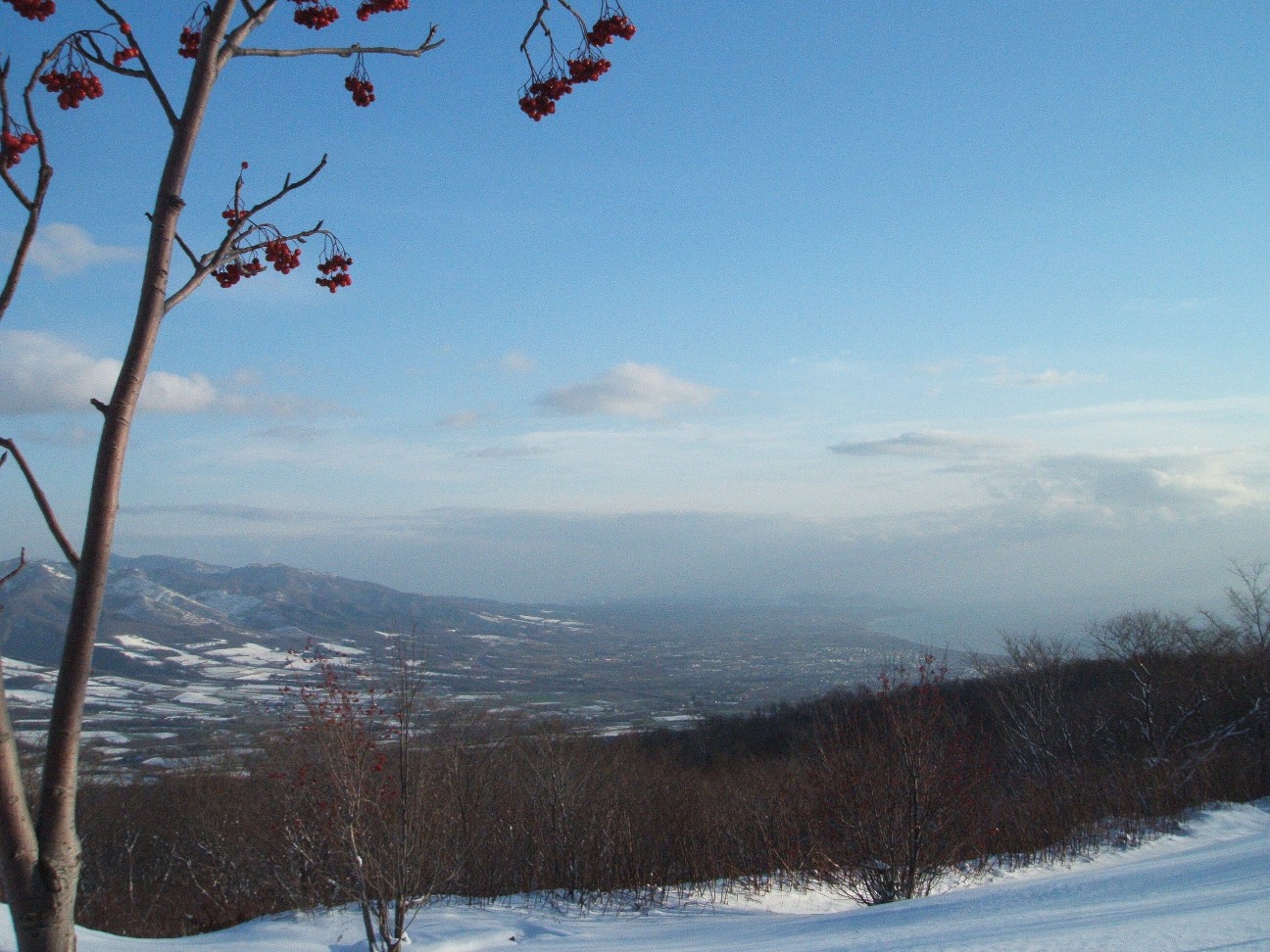 b0061010_1223033.jpg